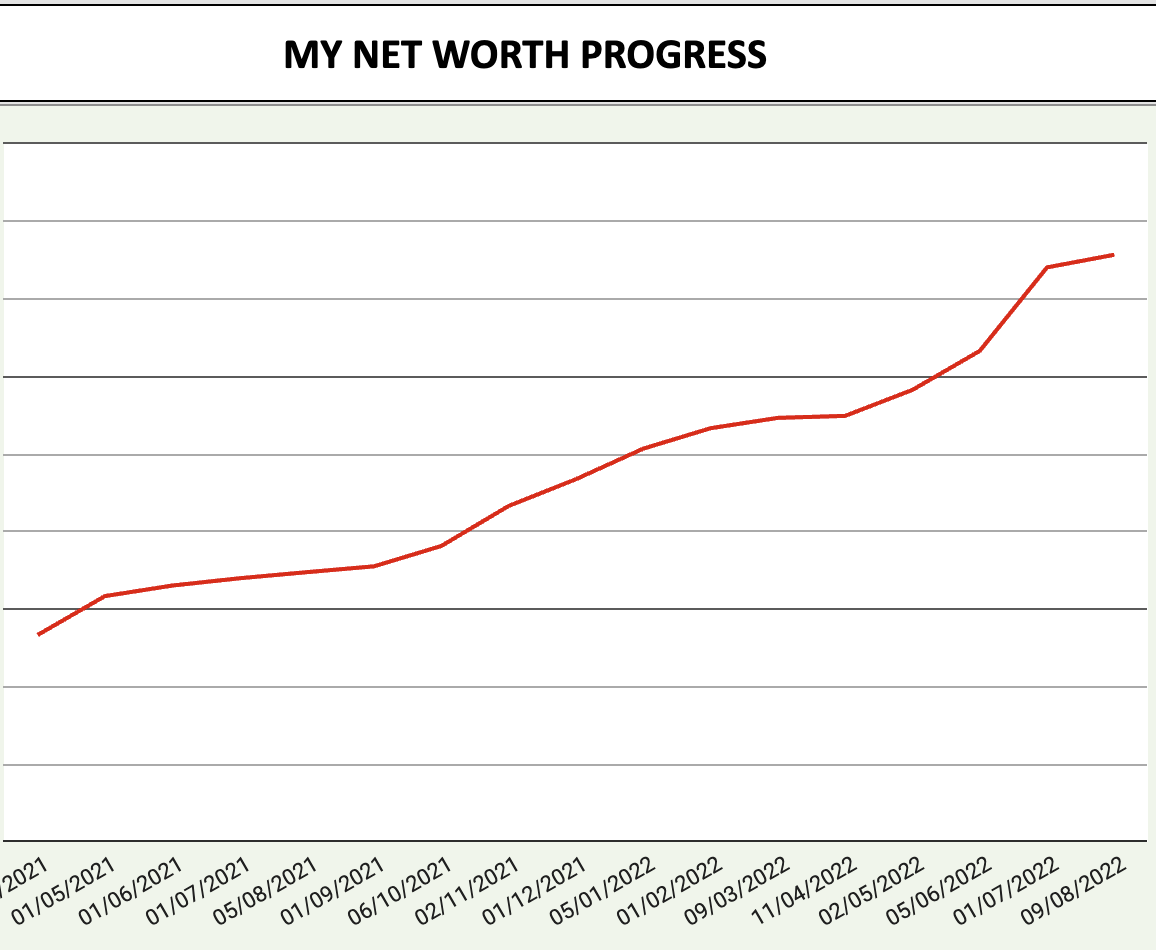 Net worth progress