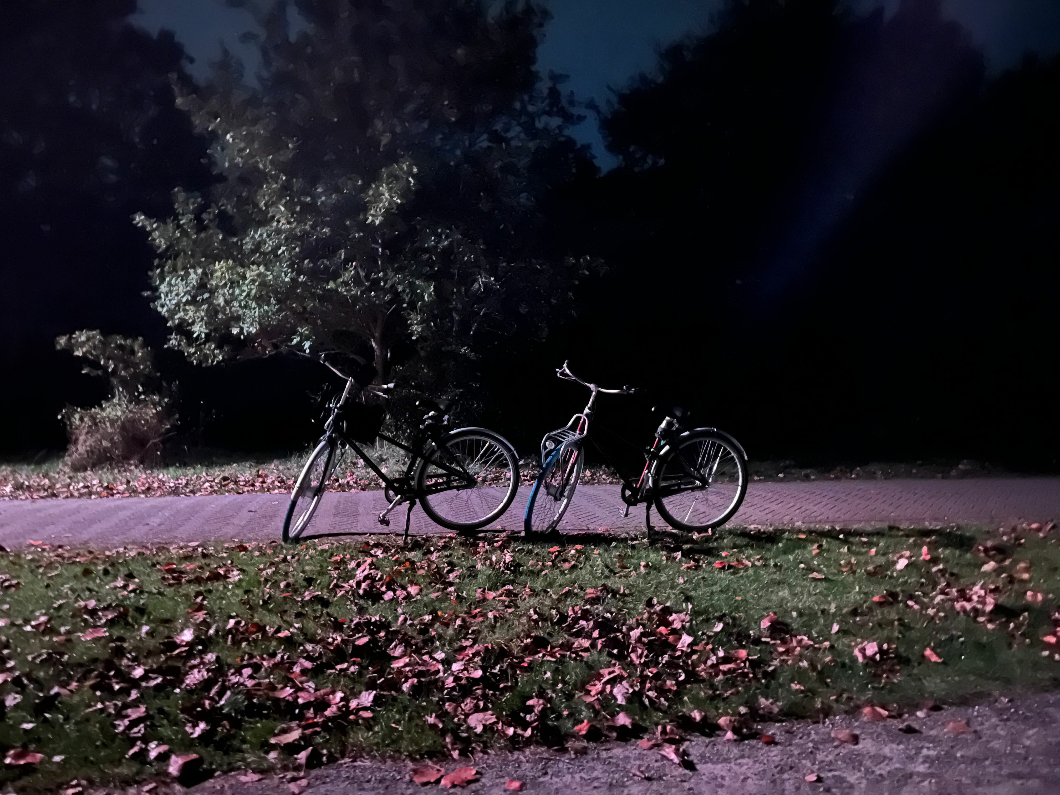 Our bikes after 55km