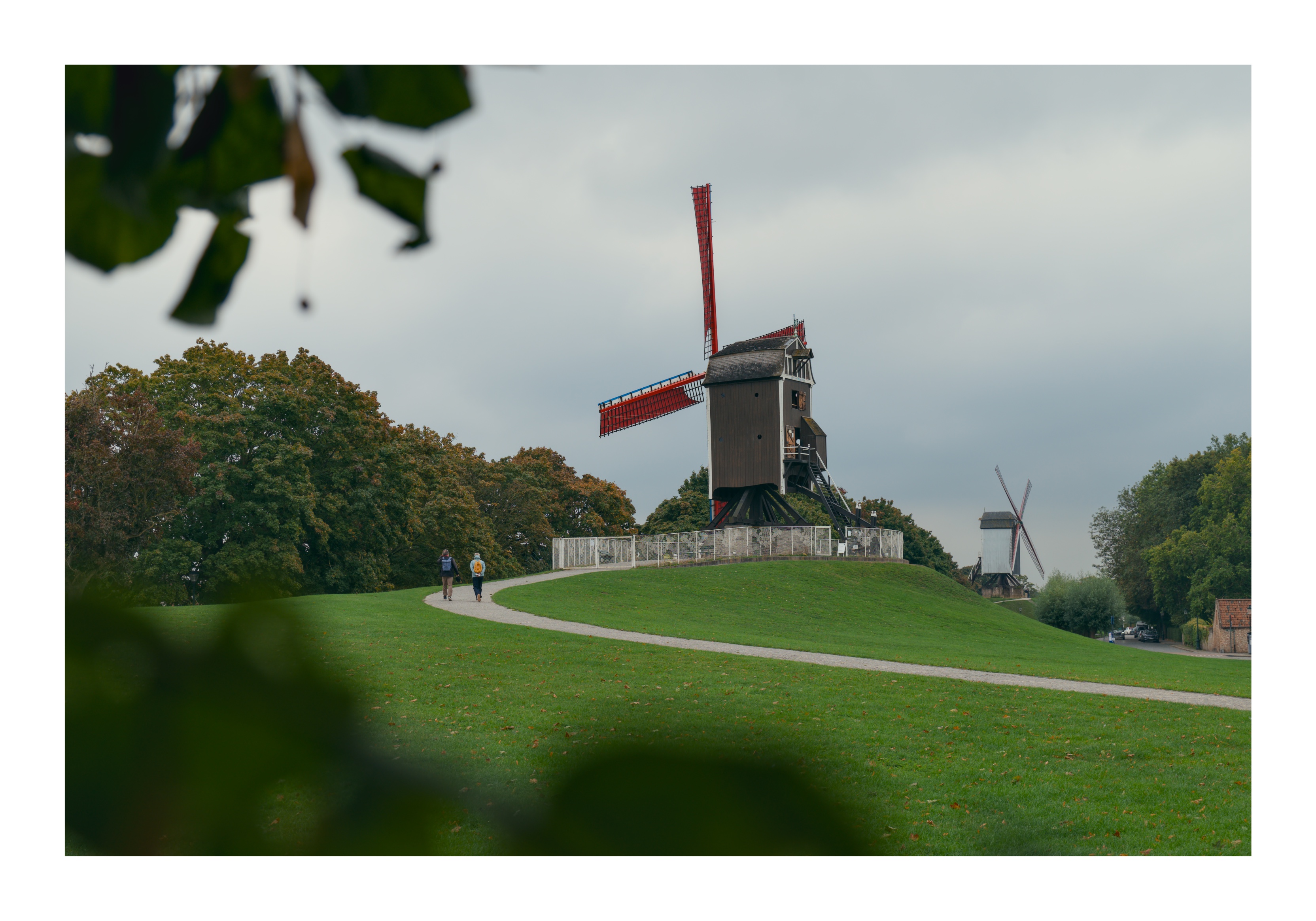 Brugge windmill
